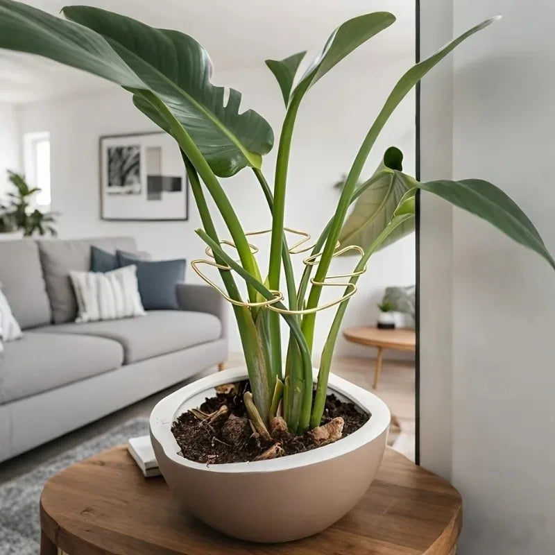 Soporte Metálico para Monstera y Plantas Trepadoras de Interior