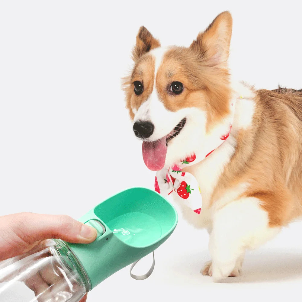 Bebedero portátil para perros y gatos con correa de transporte