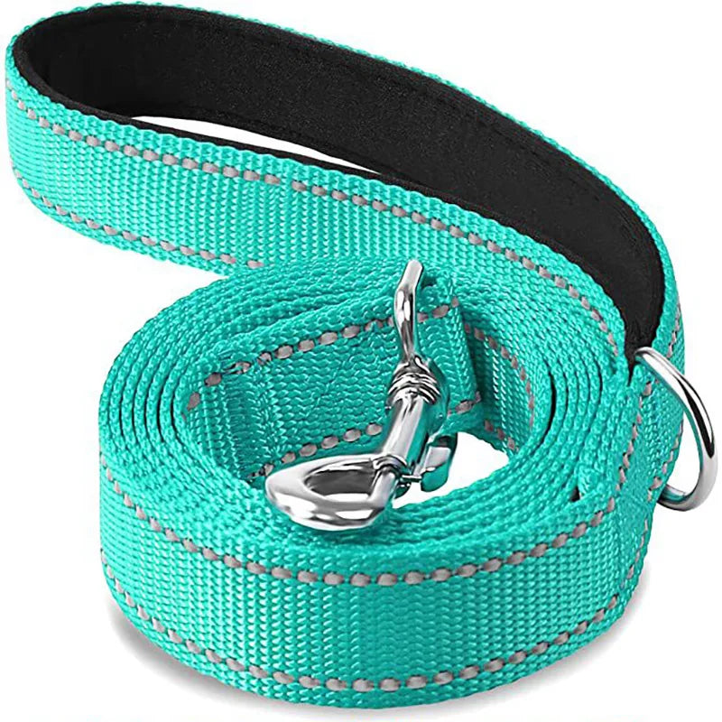Correa para Perro Reflectante con Cinta de Seguridad para Paseo y Entrenamiento