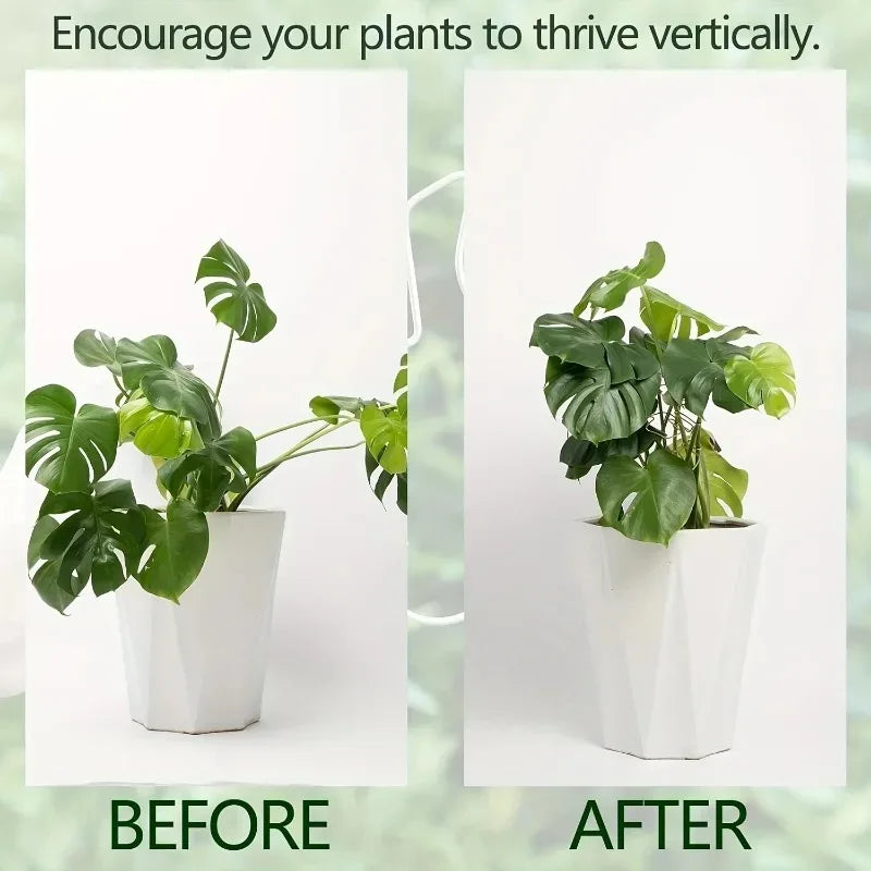 Soporte Metálico para Monstera y Plantas Trepadoras de Interior